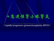 急进性肾小球肾炎课件