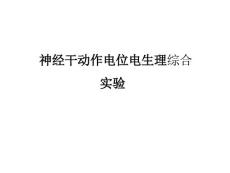 蟾蜍坐骨神经干