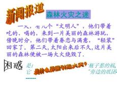 眼和視覺(第一課時)