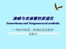淋病与非淋菌性尿道炎课件