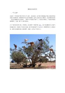 撒哈拉沙漠奇景