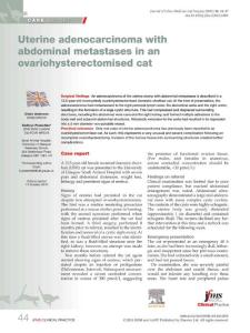 Uterine adenocarcinoma with abdominal metastases in an ovariohysterectomised cat