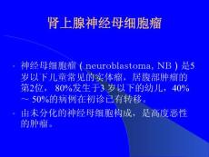 肾上腺神经母细胞瘤ppt课件