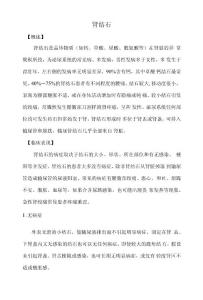 肾结石诊疗指南