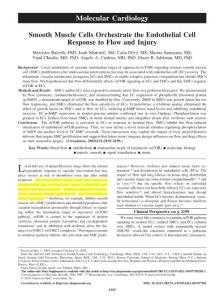 Smooth Muscle Cells Orchestrate the Endothelial Cell Response to Flow and Injury