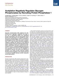 Acetylation_Negatively_Regulates__Glycogen_Phosphorylase_by_Recruiting_Protein_Phosphatase_1