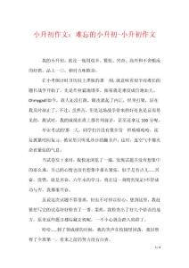 小升初作文：难忘的小升初-小升初作文