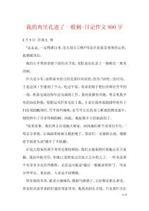 我的肉里扎进了一根刺-日记作文800字