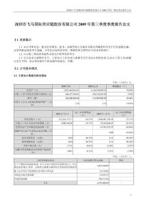 飞马国际：2009年第三季度报告