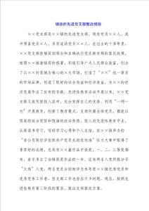 鎮(zhèn)政府先進黨支部整改措施