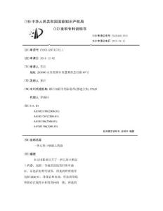 一种儿科口咽部上药器