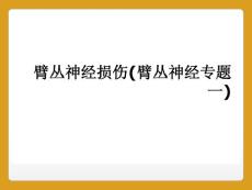 臂丛神经损伤(臂丛神经专题一)