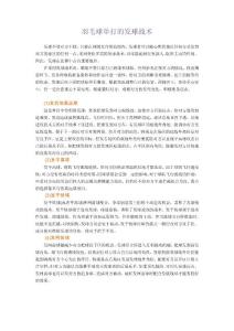 羽毛球圖解單打戰(zhàn)術(shù)