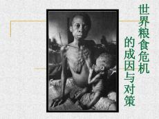 第七章 世界糧食危機的成因與對策
