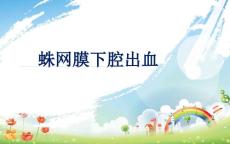 蛛网膜下腔出血诊治