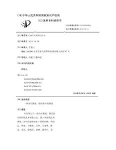 一种治疗腹痛、腹泻的中药制剂
