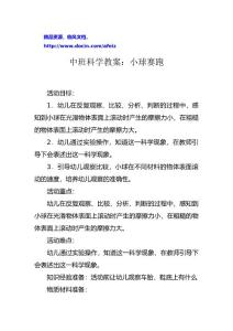 中班科学教案：小球赛跑.doc