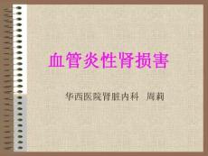 血管炎性肾损害