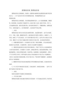 植物炭疽病_葡萄炭疽病