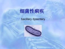 细菌性痢疾诊治