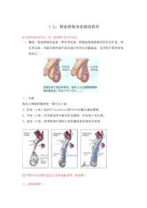 精索静脉曲张健康教育