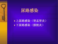 《尿路感染》课件