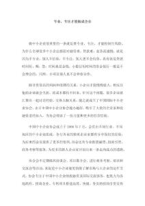 专业，专注才能做成企业