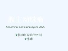 腹主动脉瘤的护理讲课