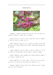 雞血藤治病驗方