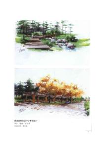 庭院园林设计手绘2