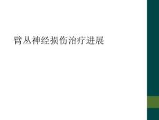 臂丛神经损伤治疗进展