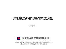 ARS戰(zhàn)略工作流程（咨詢流程）