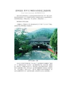 晨鐘暮鼓 秀甲天下峨眉山的悟道之旅