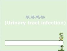 尿路感染PPT