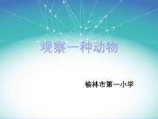 教科版一年级科学下册二、3.《观察一种动物》