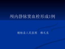 颅内静脉窦血栓形成1例课件