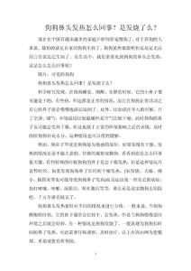 狗狗鼻头发热怎么回事？是发烧了么？