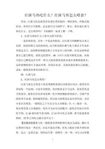 红斑马鱼吃什么？红斑马鱼怎么喂食？