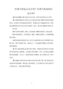 红斑马鱼怎么分公母？红斑马鱼如何区分公母？