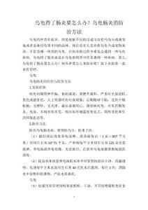 乌龟得了肠炎要怎么办？乌龟肠炎的防治方法