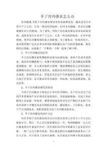 羊子宫内膜炎怎么办