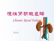 慢性肾功能衰竭课件