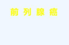 前列腺癌课件