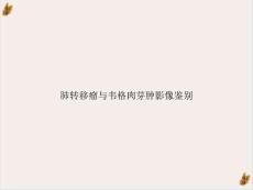 肺转移瘤与韦格肉芽肿影像鉴别课件