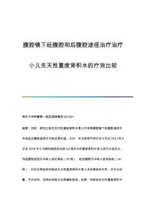 腹腔镜下经腹腔和后腹腔途径治疗治疗小儿先天性重度肾积水的疗效比较