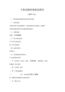下肢动脉栓塞