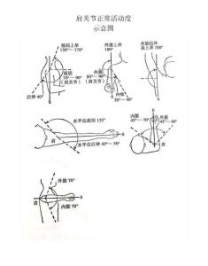 肩关节活动度示意图