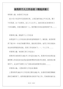 食药所个人工作总结（精选多篇）