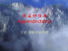 外科手術闌尾切除術