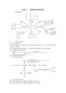 专题二   蛋白质与生命活动